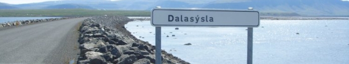 Dalas&yacute;sla