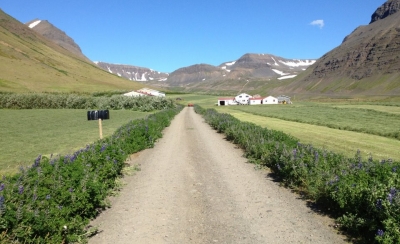 Ne&eth;ri Brei&eth;adalur, &Ouml;nundarf.