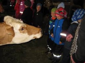 ATH. S&Yacute;NISHORN. MYNDIN TENGIST EKKI &THORN;ESSARI J&Ouml;R&ETH;.

H&eacute;r getur &thorn;&uacute; sett inn myndir af &thorn;v&iacute; sem &thorn;&uacute; vilt. 
t.d myndir af fj&ouml;lskyldunni, h&uacute;sakosti &aacute; &thorn;inni j&ouml;r&eth;, lanslaginu e&eth;a v&eacute;lunum sem nota&eth;ar eru &aacute; b&uacute;inu.